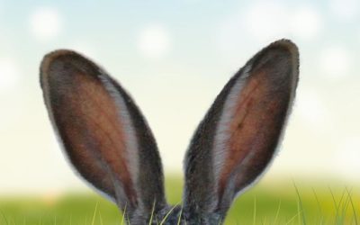 Hearing God with Two Sets of Ears